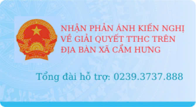 Thông tin đường dây nóng