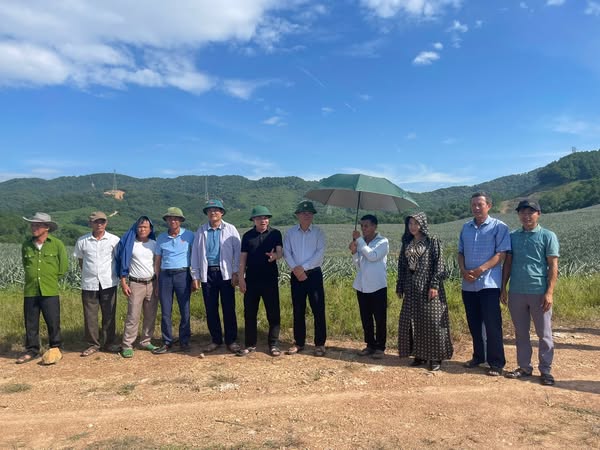 CẨM HƯNG TỔ CHỨC THAM QUAN, HỌC HỎI MÔ HÌNH TRỒNG DỨA TẠI CÔNG TY CỔ PHẦN TẬP ĐOÀN ĐỒNG GIAO DOVECO