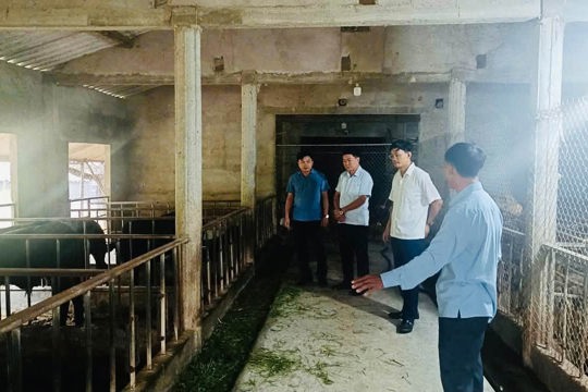 Thường trực Đảng ủy Cẩm Hưng kiểm tra, đánh giá mô hình chăn nuôi của hội viên nông dân