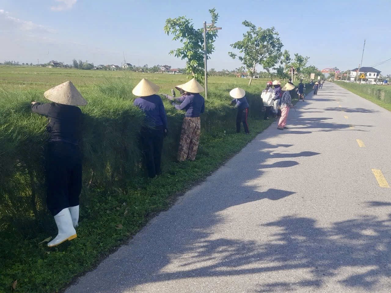 CẨM HƯNG LAN TỎA TINH THẦN “CHỦ NHẬT XANH” – VÌ MỘT MIỀN QUÊ SÁNG, XANH, SẠCH, ĐẸP. 