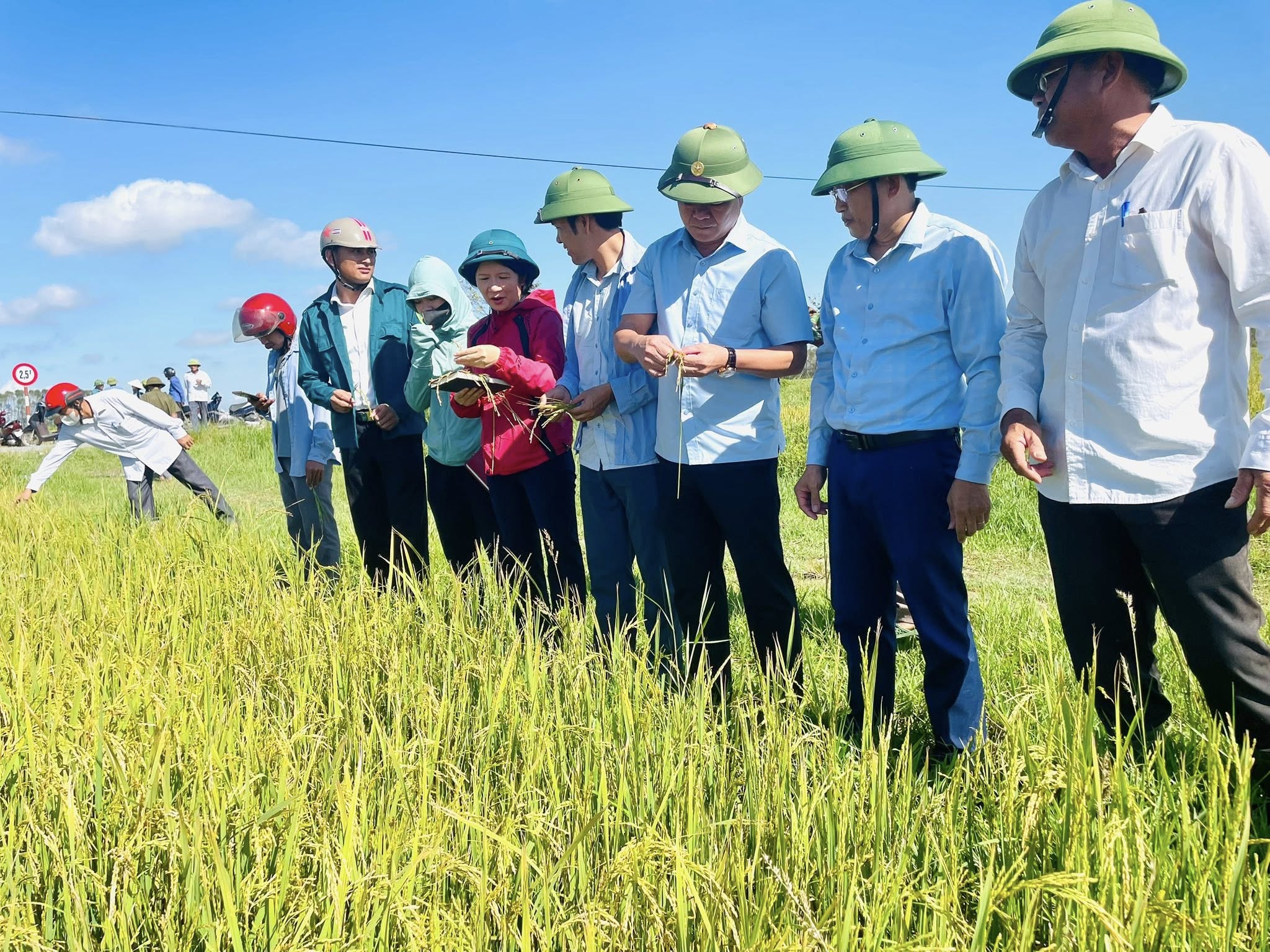 LÃNH ĐẠO XÃ CẨM HƯNG TỔ CHỨC THĂM ĐỒNG, ĐÁNH GIÁ NĂNG SUẤT VỤ HÈ THU 2025🌾🌾🌾